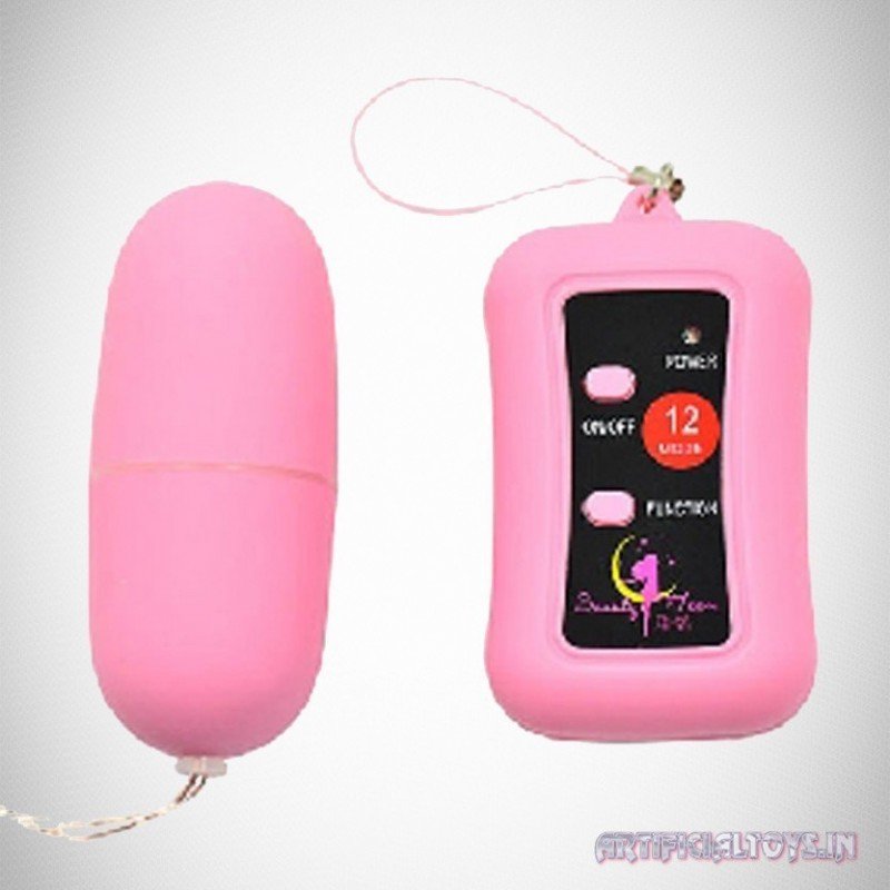 Remote Control Vibrating Egg BV-003