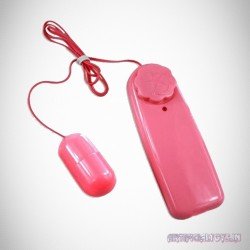 Bullet Vibrator 2 in 1 BV-008