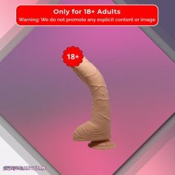Realistic Non-vibrator with Round Balls and Suction Base RSNV-029